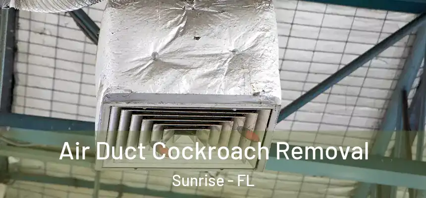 Air Duct Cockroach Removal Sunrise - FL