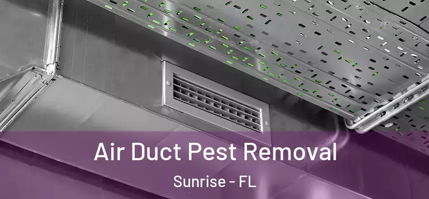 Air Duct Pest Removal Sunrise - FL