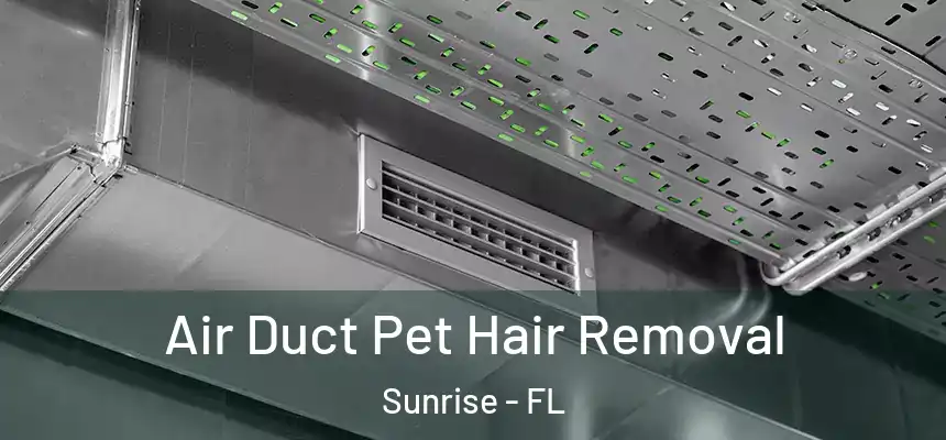  Air Duct Pet Hair Removal Sunrise - FL