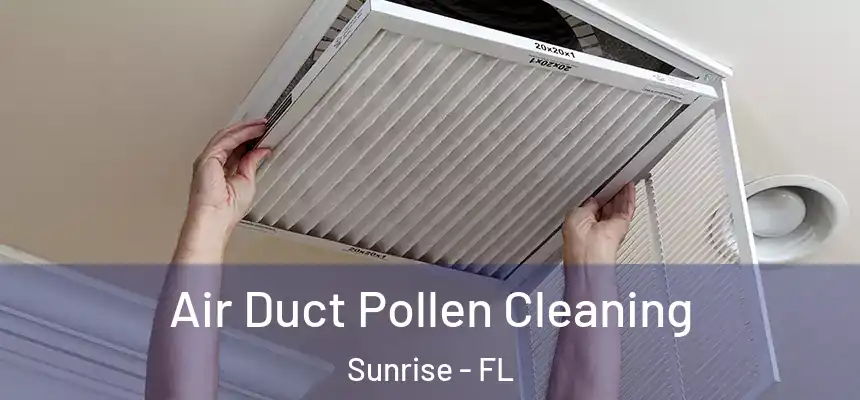 Air Duct Pollen Cleaning Sunrise - FL