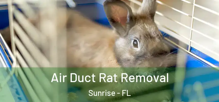 Air Duct Rat Removal Sunrise - FL