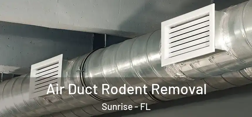 Air Duct Rodent Removal Sunrise - FL