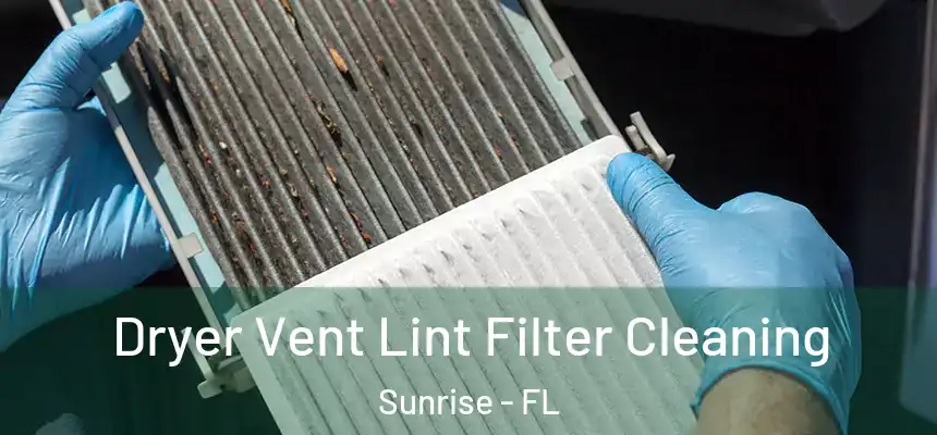  Dryer Vent Lint Filter Cleaning Sunrise - FL