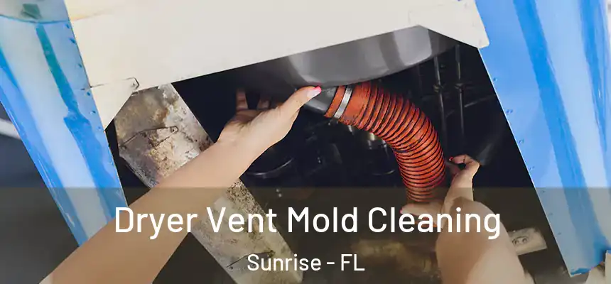  Dryer Vent Mold Cleaning Sunrise - FL