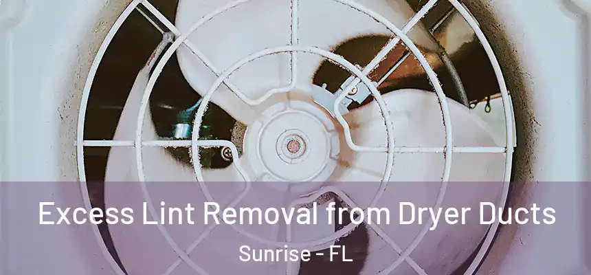  Excess Lint Removal from Dryer Ducts Sunrise - FL