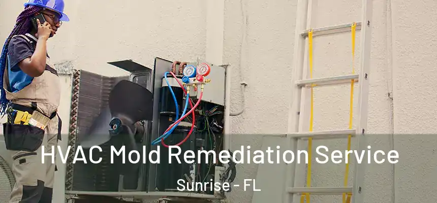  HVAC Mold Remediation Service Sunrise - FL