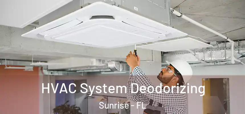  HVAC System Deodorizing Sunrise - FL