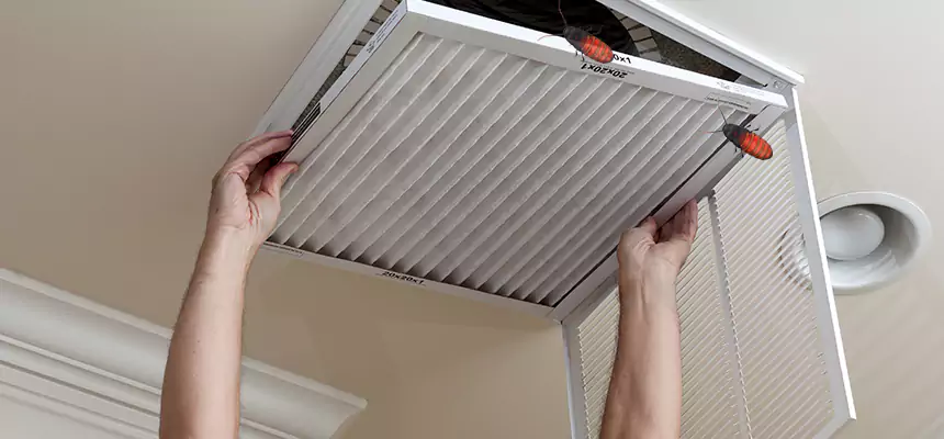 Preventive Cockroach-Proofing for Ducts in Sunrise