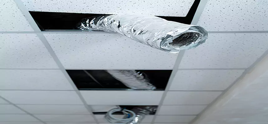 Our Air Duct Pet Hair Removal Services in Sunrise, FL