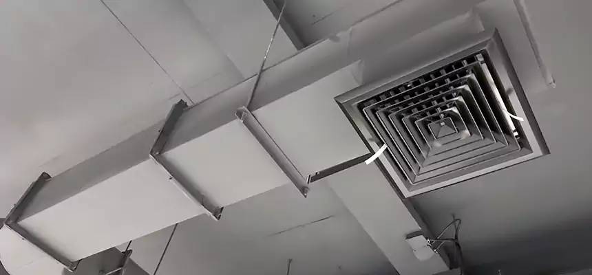 Our Pest Removal From Ducts Services in Sunrise, FL