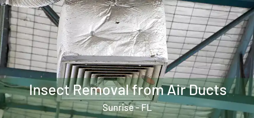  Insect Removal from Air Ducts Sunrise - FL