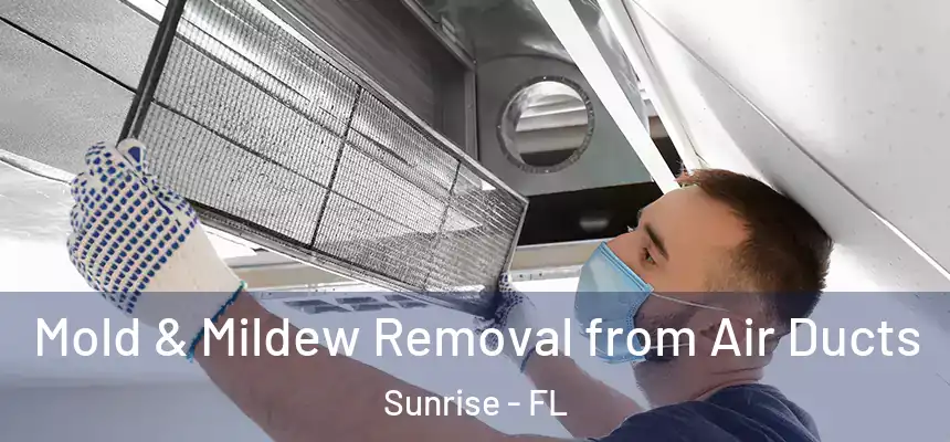  Mold & Mildew Removal from Air Ducts Sunrise - FL