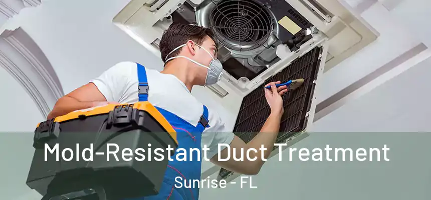 Mold-Resistant Duct Treatment Sunrise - FL