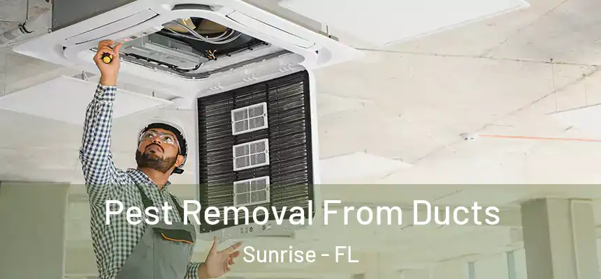  Pest Removal From Ducts Sunrise - FL