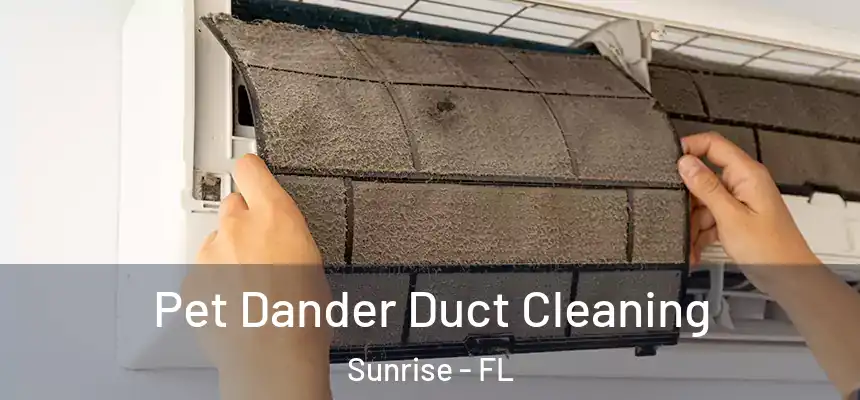  Pet Dander Duct Cleaning Sunrise - FL