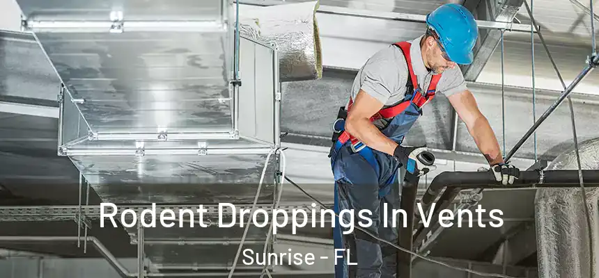  Rodent Droppings In Vents Sunrise - FL
