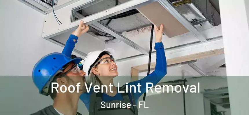  Roof Vent Lint Removal Sunrise - FL