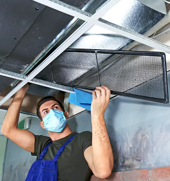 About Air Duct Bacteria Removal in Sunrise