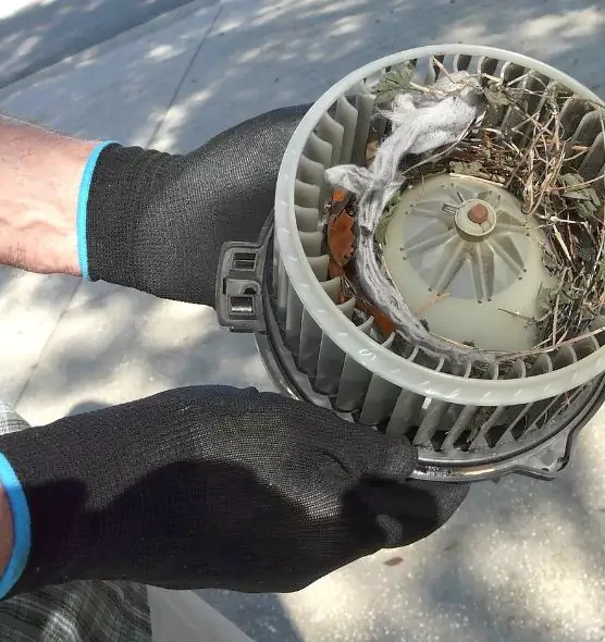 About Air Duct Mice Removal in Sunrise, FL