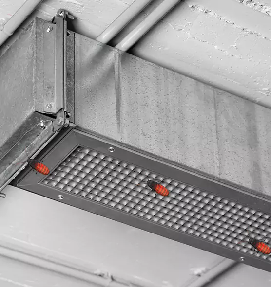 Affordable Insect Removal from Air Ducts in Sunrise, FL