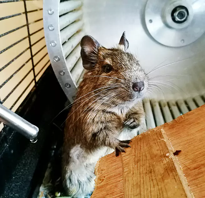 Why Homeowners & Businesses Trust Us Sunrise, FL