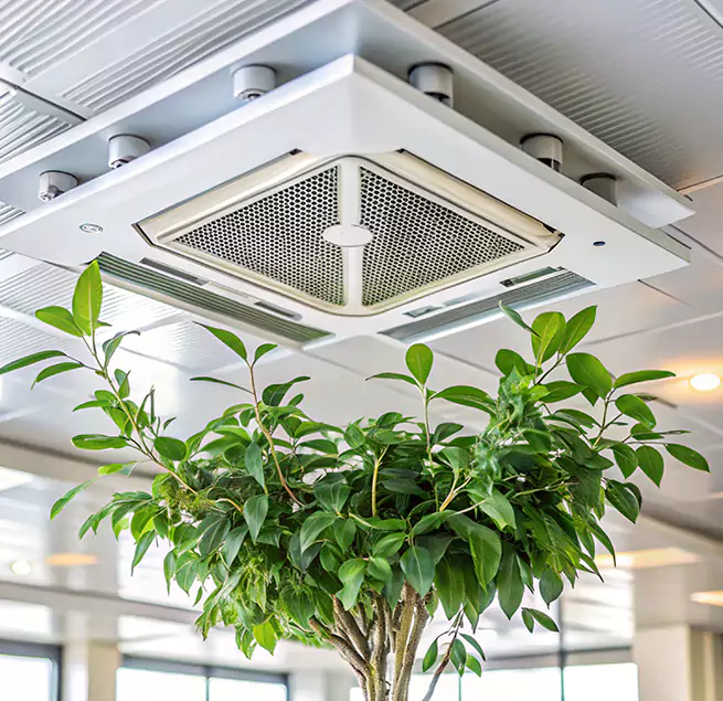 Why Homeowners & Businesses Trust Us in Sunrise, FL?